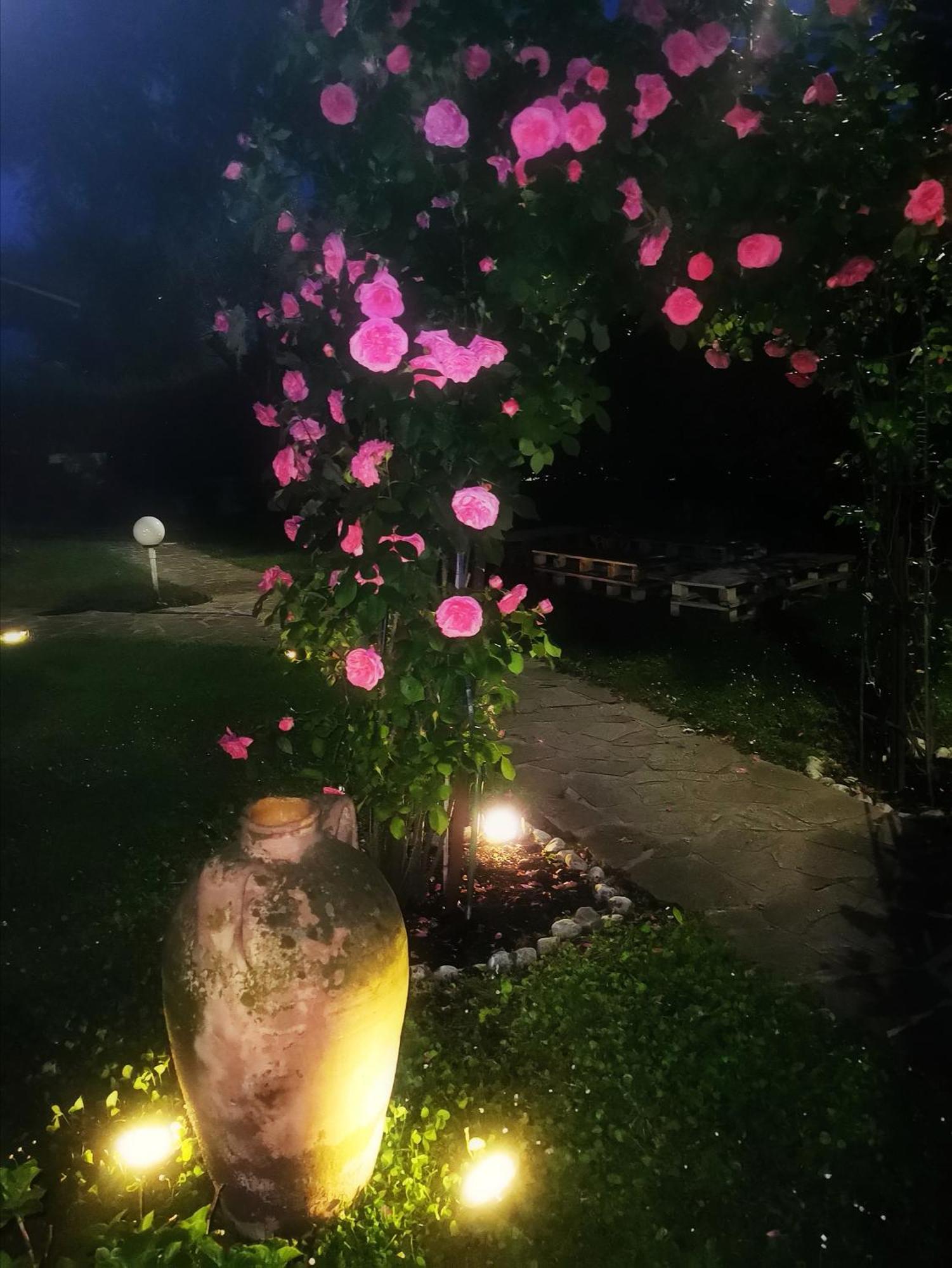 Acquachiara Iseo Deluxe Bed & Breakfast Iseo Center With Garden And Parking Inside Foresteria Ruang foto
